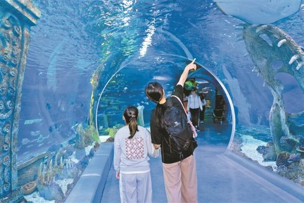 星娃们来海洋馆啦！